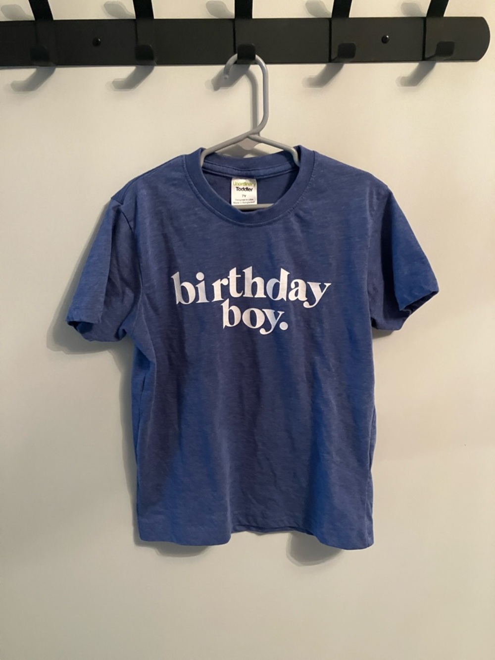 Birthday Boy Blue Tee - Toddler